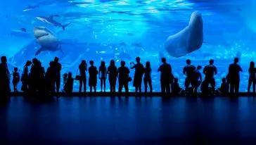 洛阳游乐园动物园水上乐园三合一,海洋动物园海底世界门票