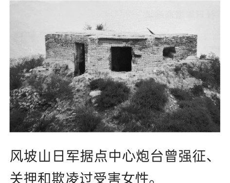 战史奇观,历史大揭秘百团大战