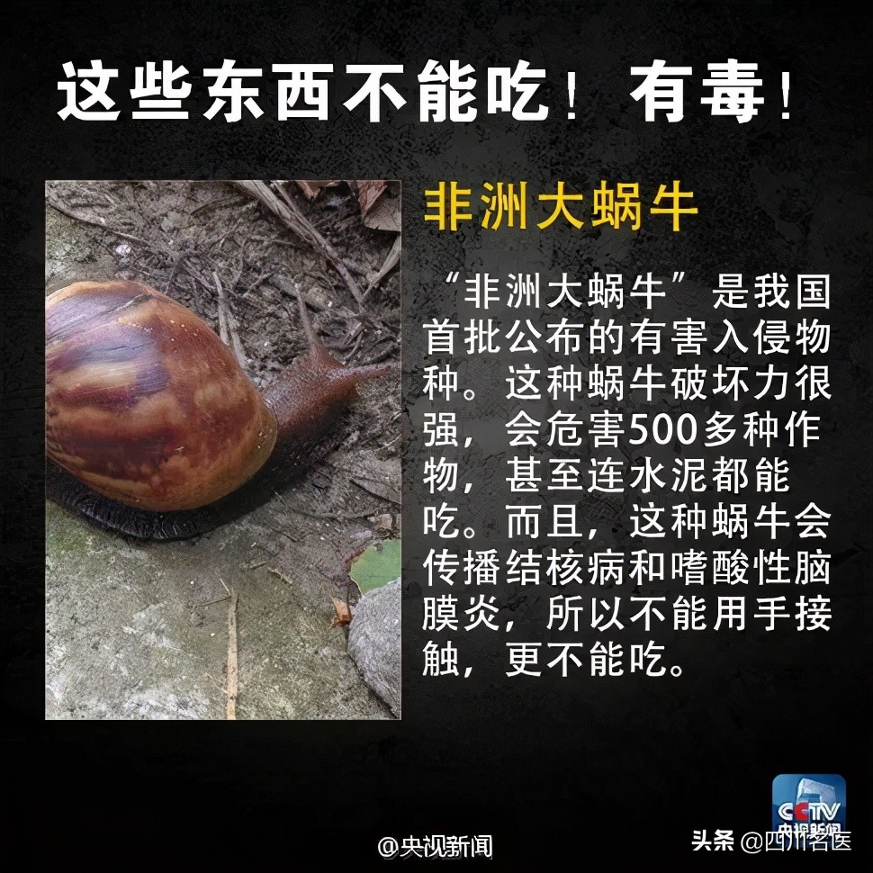 警惕！已有多人中毒！华西急诊科医生：这种发苦的家常菜不能吃！严重可致命