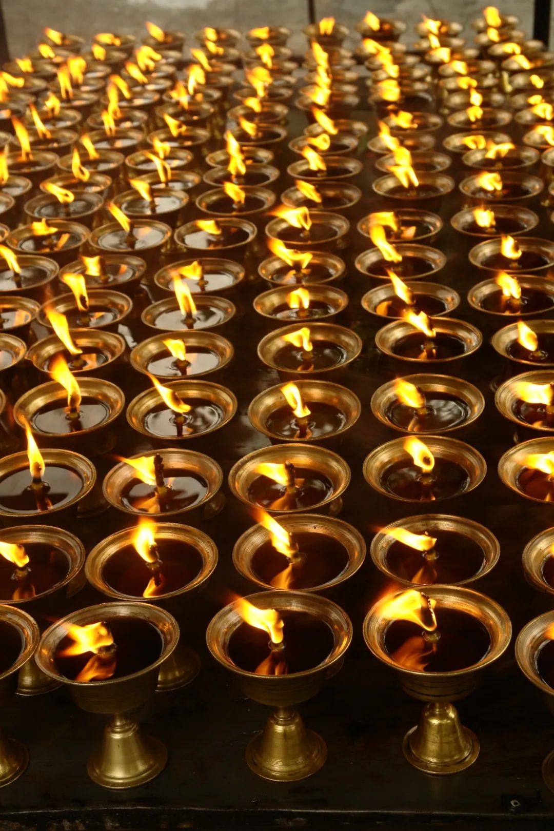 读城成都,读城记成都节选