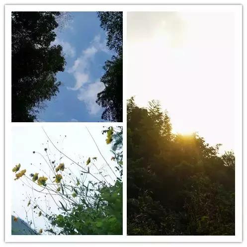 宁海安岚度假酒店,宁海安岚最美的酒店