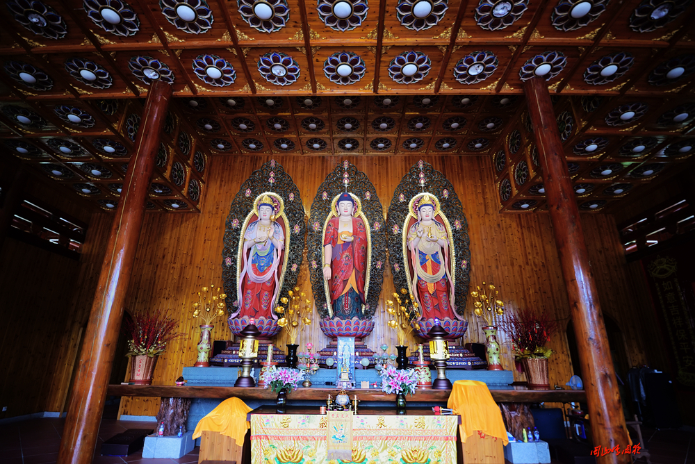 摄影就是记录流逝的时光,摄影捕捉生活的美好瞬间