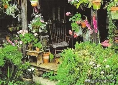 塔莎奶奶的花园纪录片英文版,塔莎奶奶的真实生活照