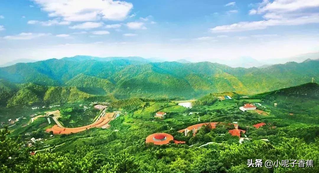 回到梅州你后悔了吗,你回梅州了吗