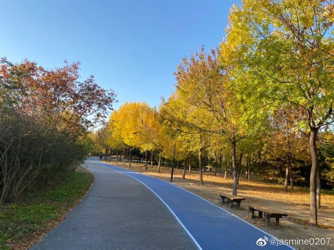 北京可以带宠物好玩的地方,北京宠物公园