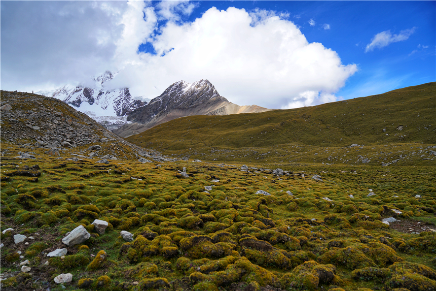 西藏秘境旅游,西藏秘境视频大全