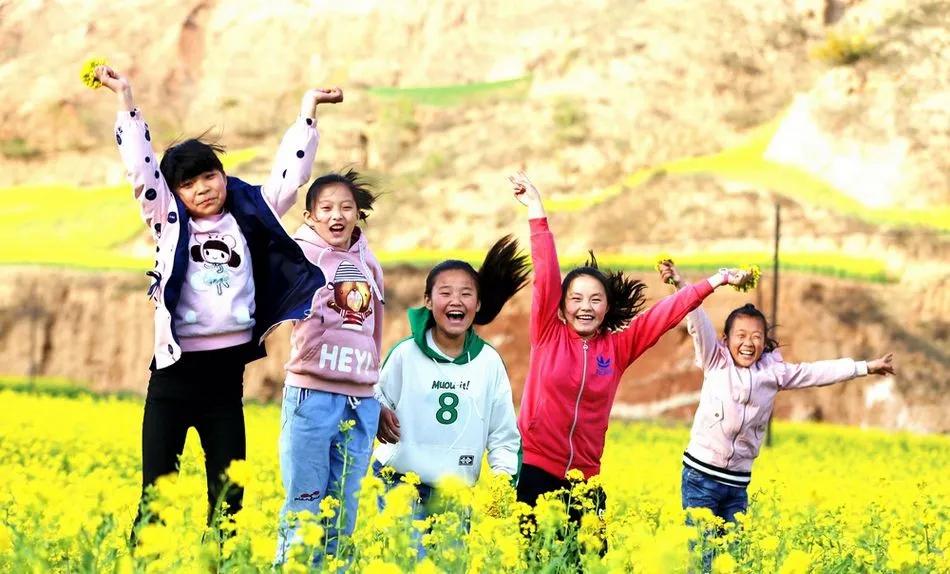 最美武山油菜花,湖口武山油菜花基地