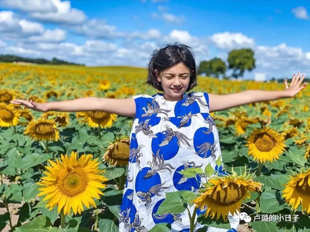 kenzo为什么有名,kenzo十大经典