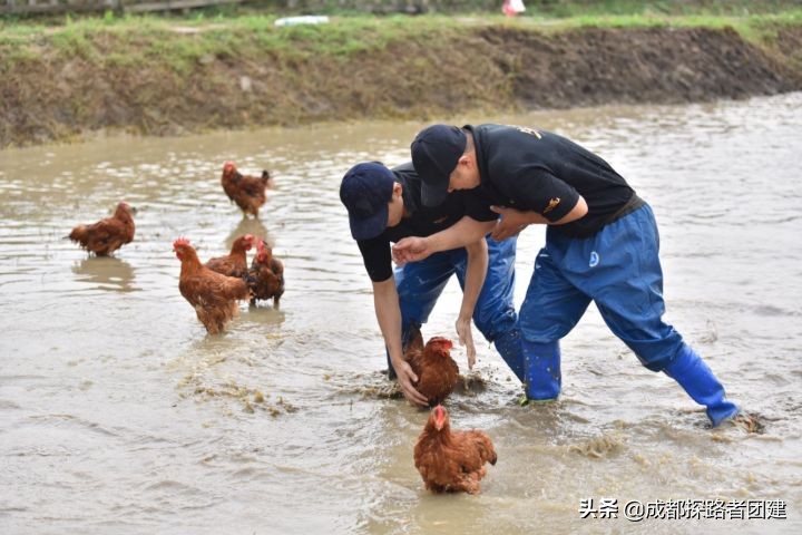 北京温泉年会地点推荐,成都公司年会场地推荐温泉耍雪