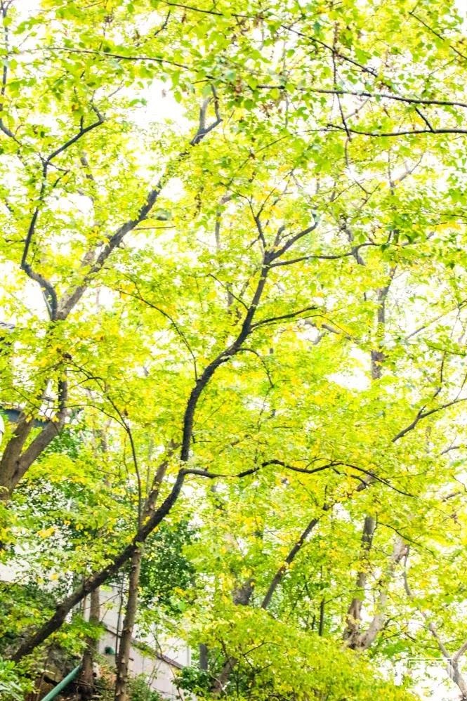 南京燕子矶游玩攻略,燕子矶游玩攻略一日游