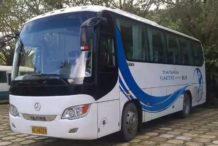 NO.870:鸽子在天上飞的呢,阿克苏却有人要买1000只…