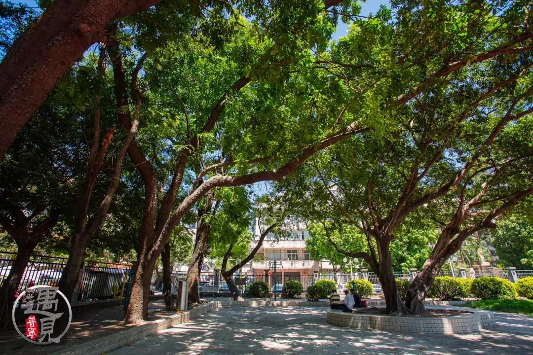 普宁二中操场改造,普宁流沙中华新城旧貌