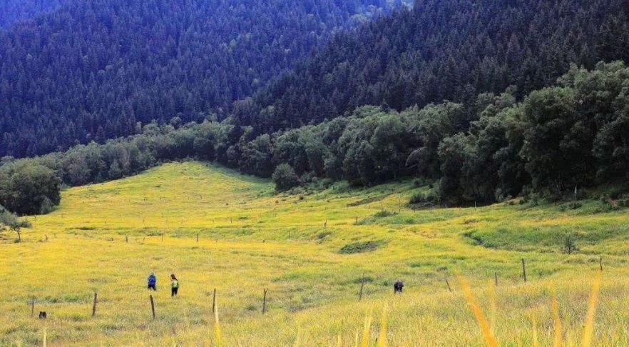 青海最值得去的十个县,青海最强的十个城市