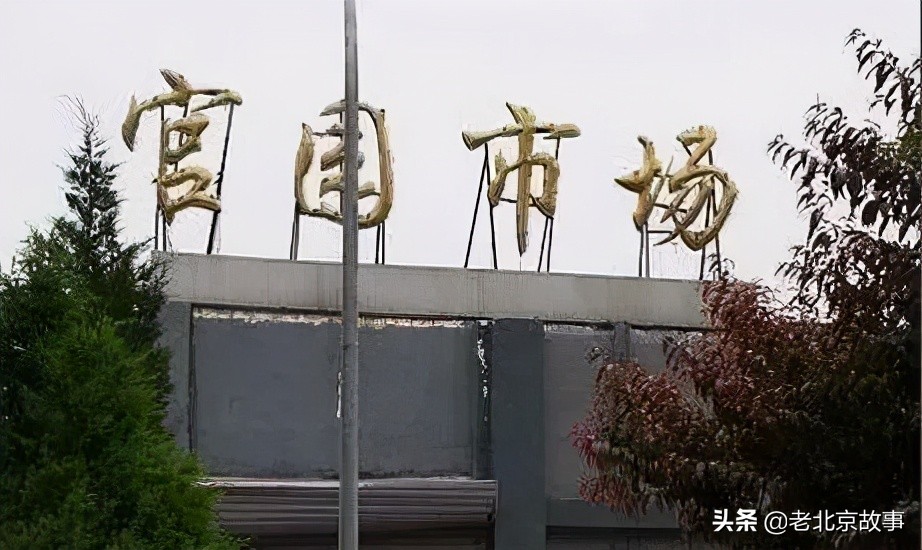 北京花鸟市场老照片,北京旧官园花鸟市场