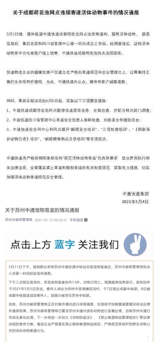 “宠物盲盒”再次隐秘上架：血染的快递，是宠爱还是*杀虐**