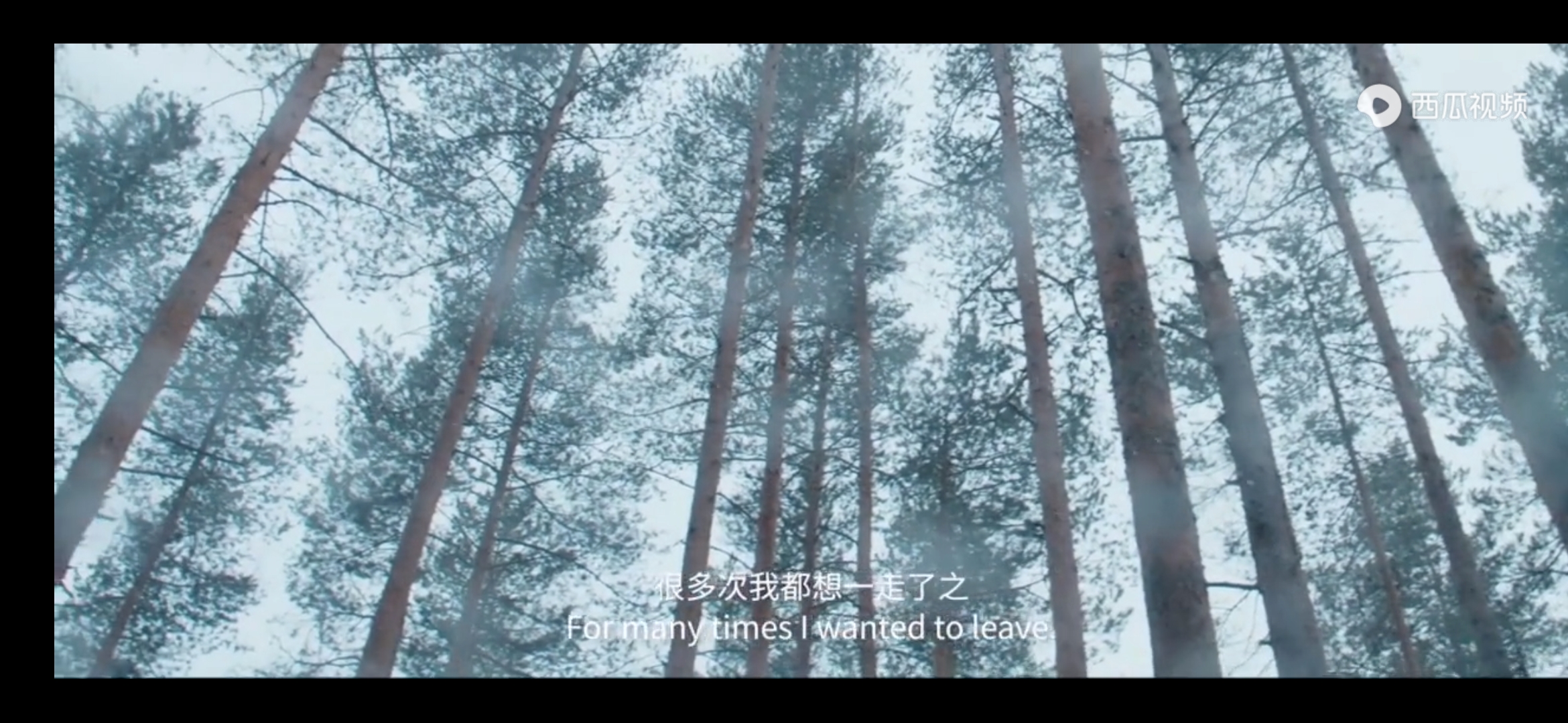 《囧妈》背后的中国式家庭关系