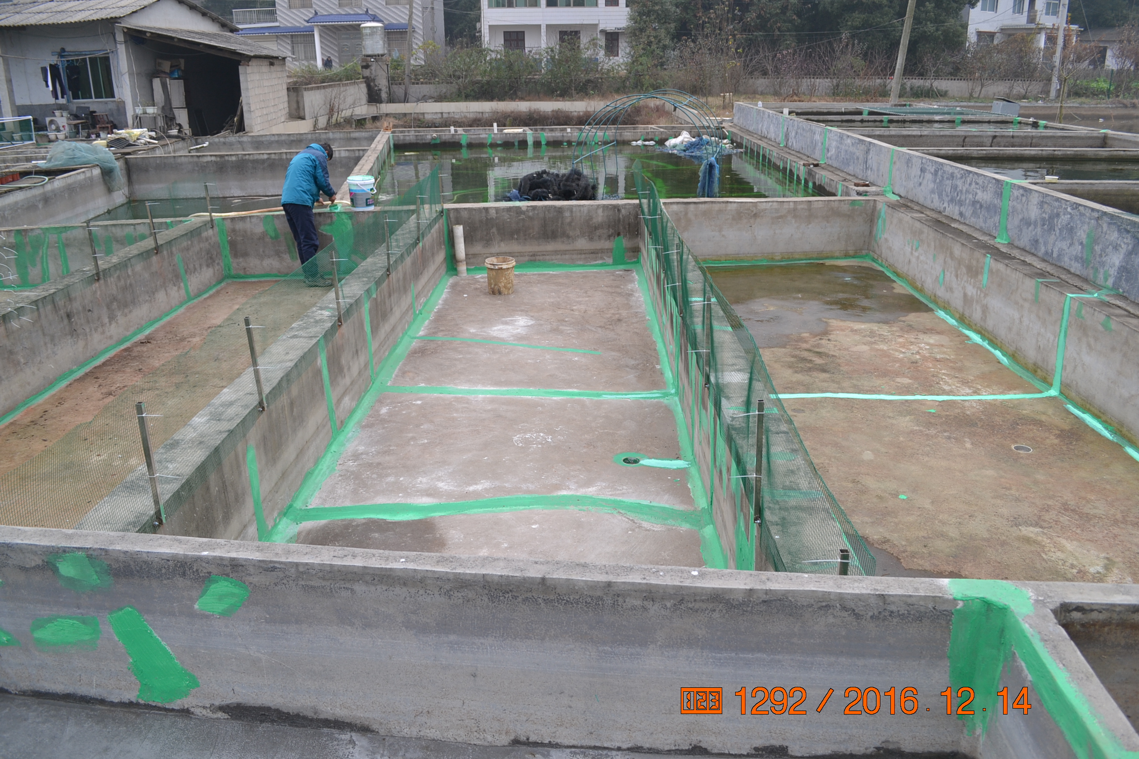 湖南最好的锦鲤养殖基地,湘潭锦鲤养殖