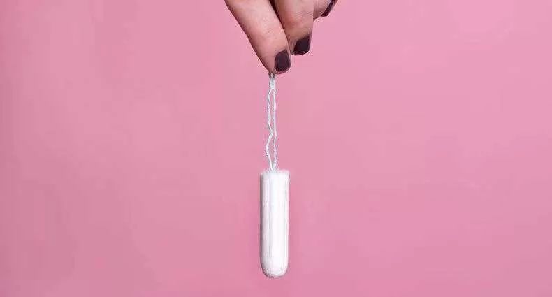 IP起源,ip的结构和成像原理