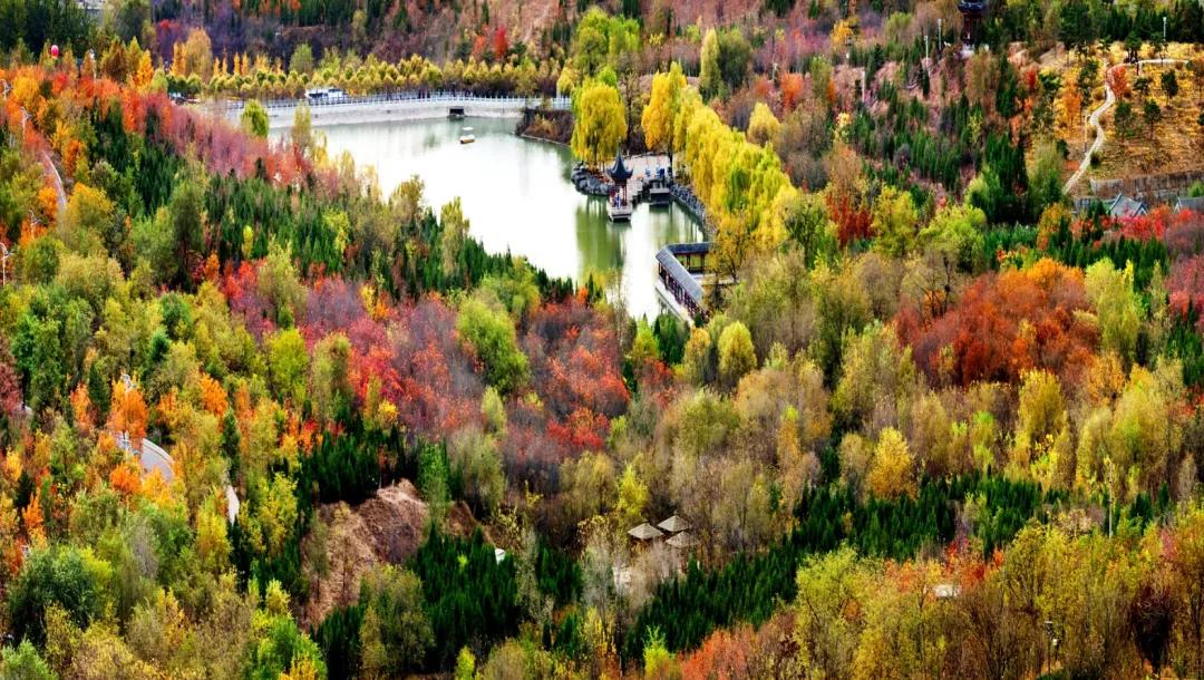 【FENG爆】走！到丰台赏秋去——2021丰台金秋文化旅游季，正式开启！