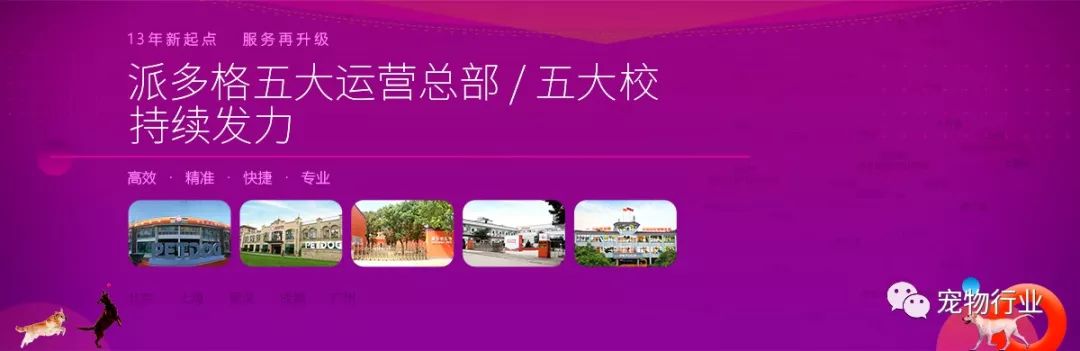 不太正经的宠物店名称有哪些,高端宠物店适合开在什么地方