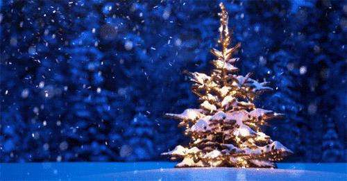 花季少女突然昏迷晕倒,花季少女脑出血下集