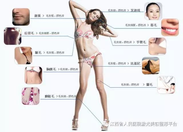 冰点脱毛脱了立即干净吗,冰点脱毛脱粗硬的毛发