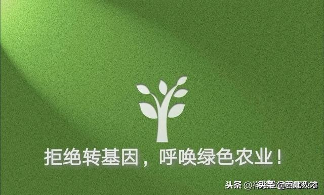 gmo现在怎么过,gmo靠谱吗