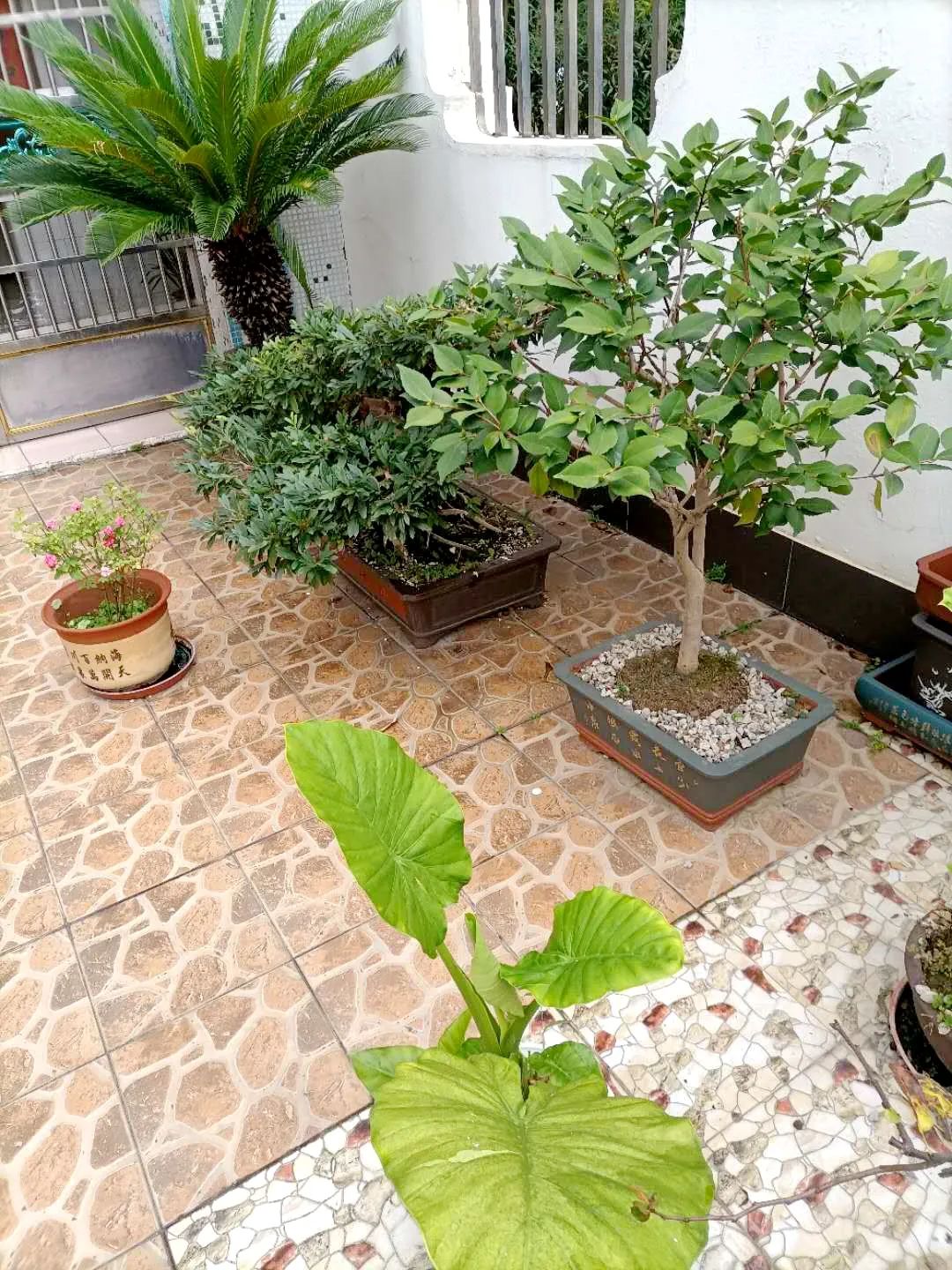 风景好的地方江阴,江阴好风景