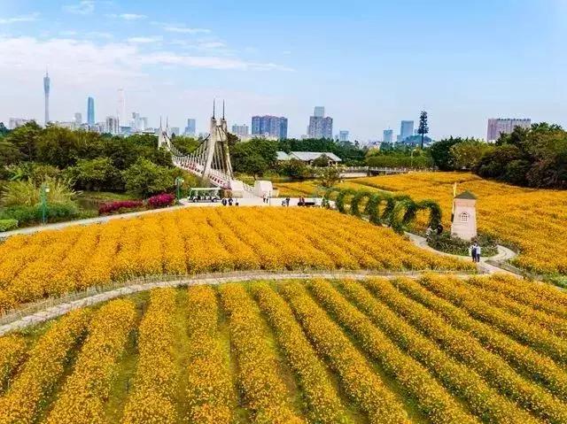 春节游玩攻略正式上线,春节嗨玩攻略