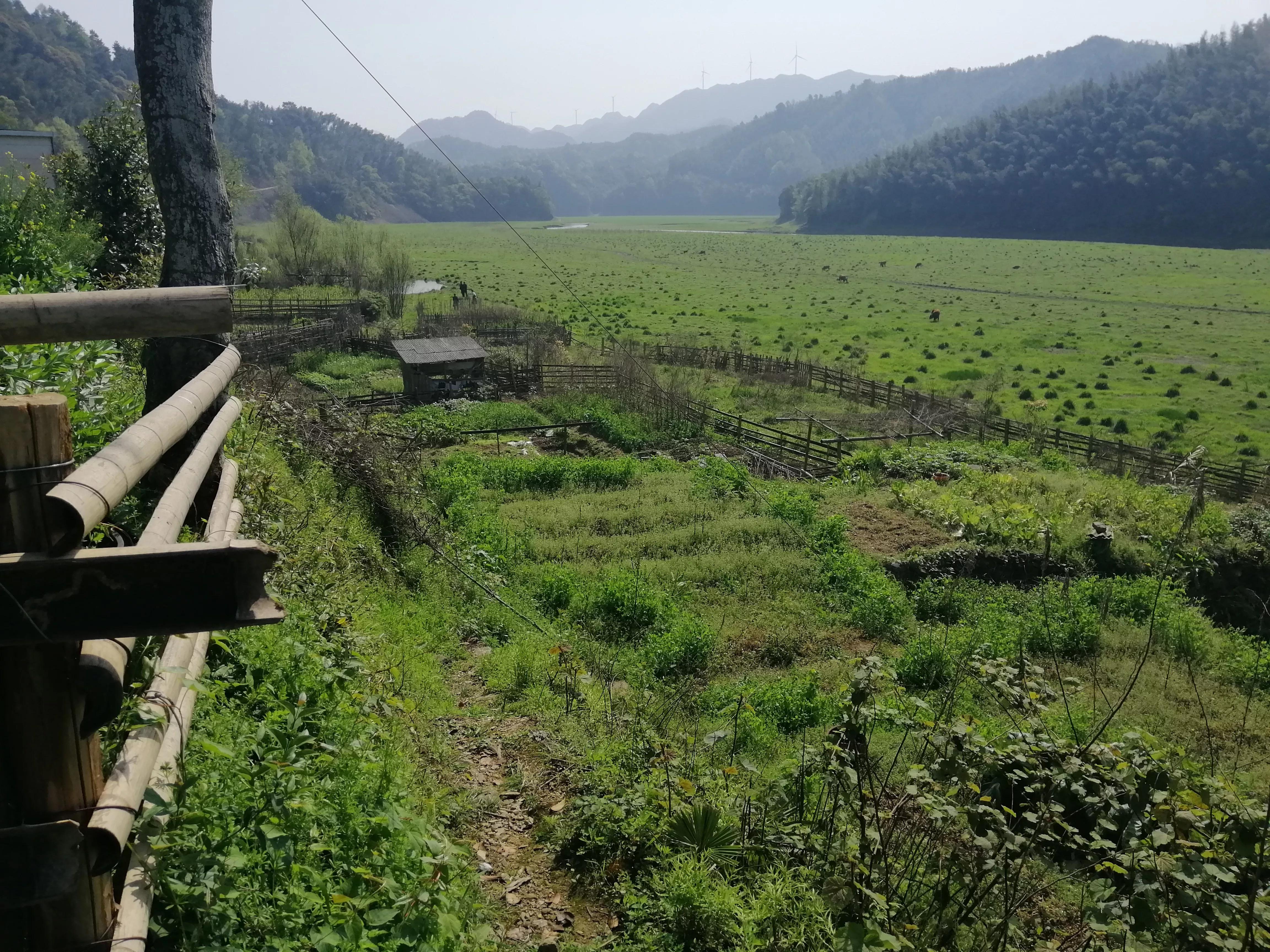 重走矿山路,重走故乡路感言