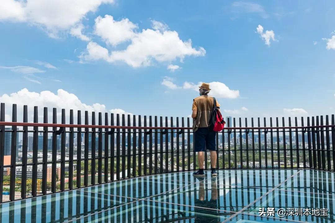 深圳最值得免费去的十大景点,深圳有哪些地方是免费景点