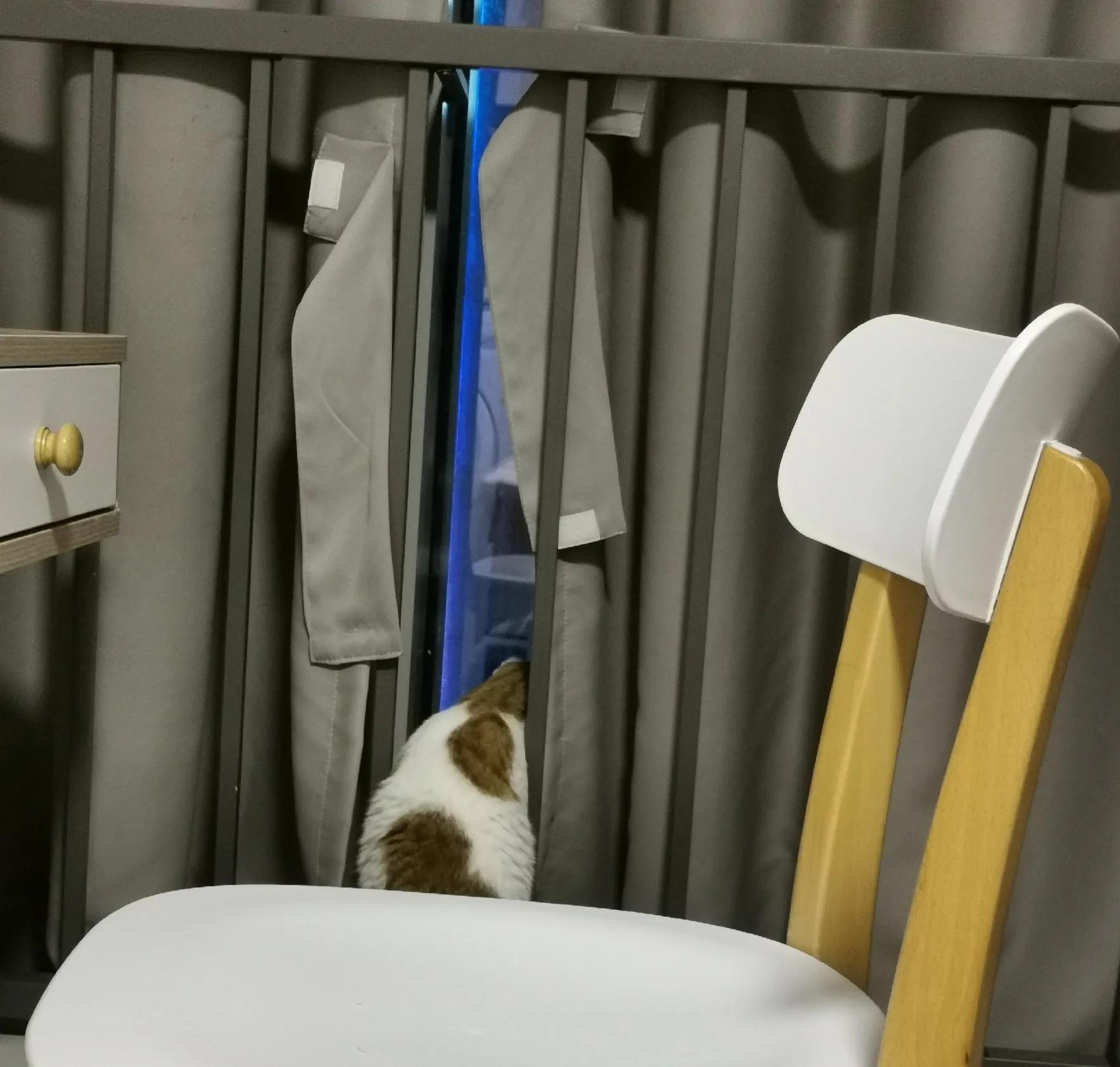 短租两个月住了两天不想租了,短租两个月但是租了一年