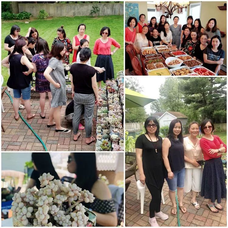 美国纽约有多少华裔人,美国纽约有多少个华人