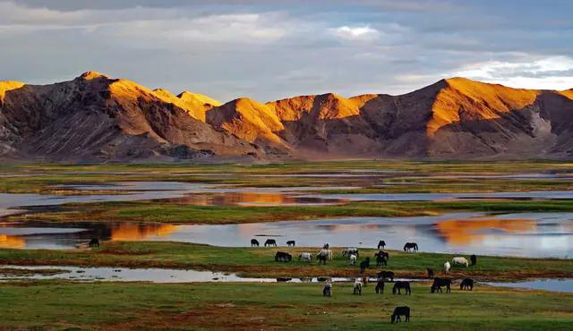 西藏可可西里无人区为什么可怕,可可西里藏北无人区