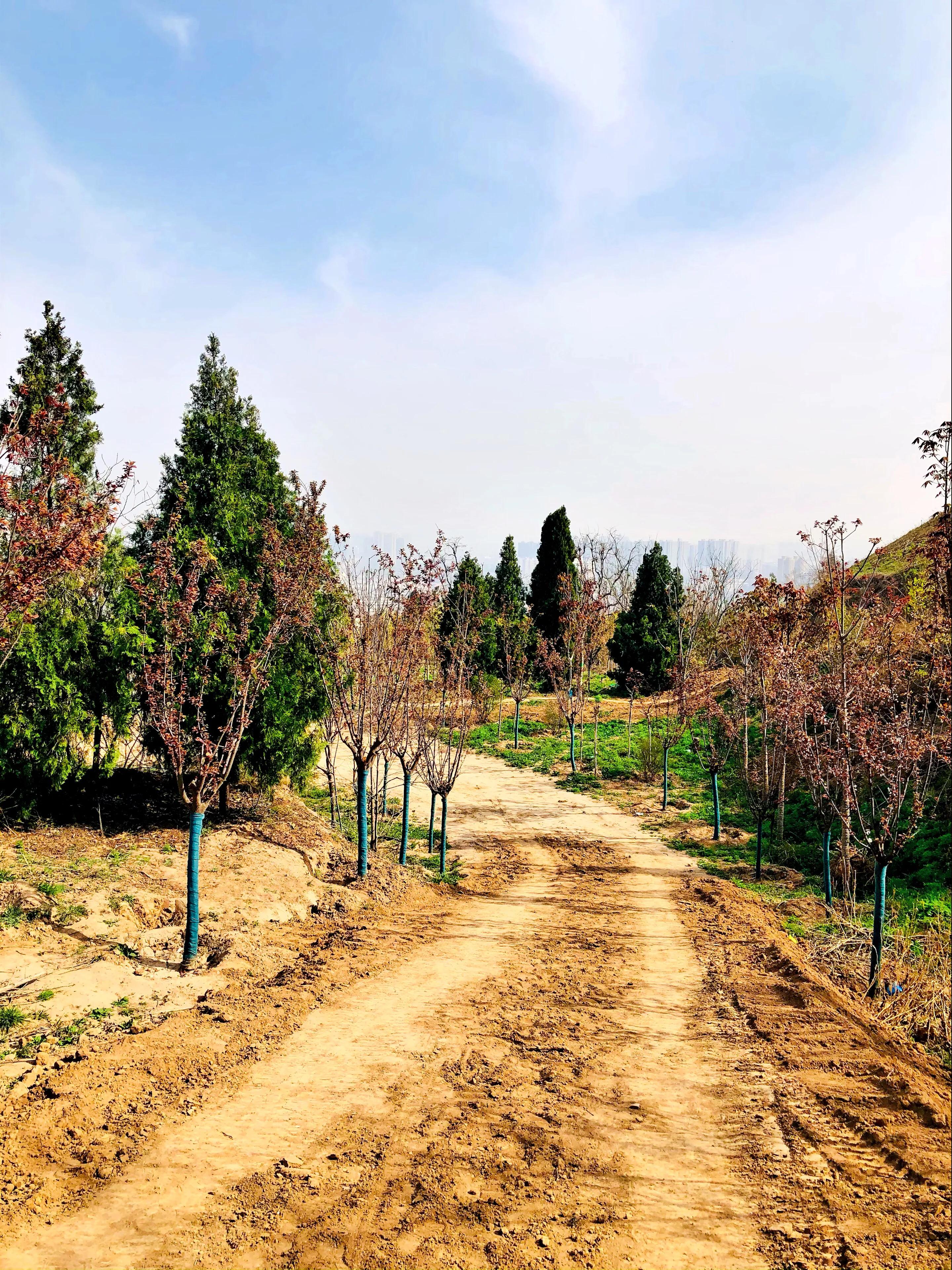 金塘半日游,白鹿原一日游攻略