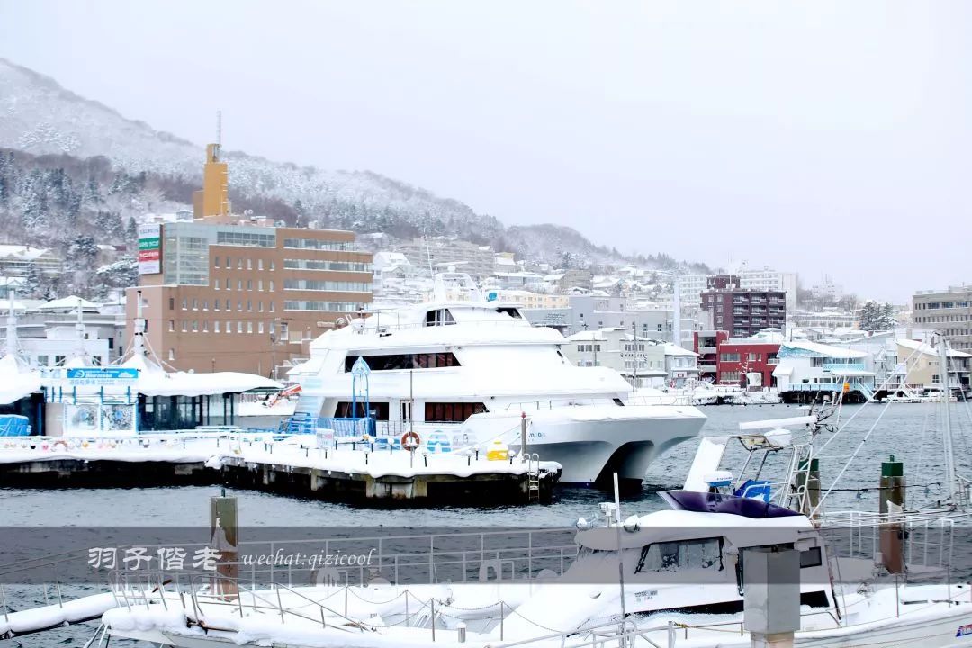 日本10天自由行费用北海道,东京北海道5日自由行攻略