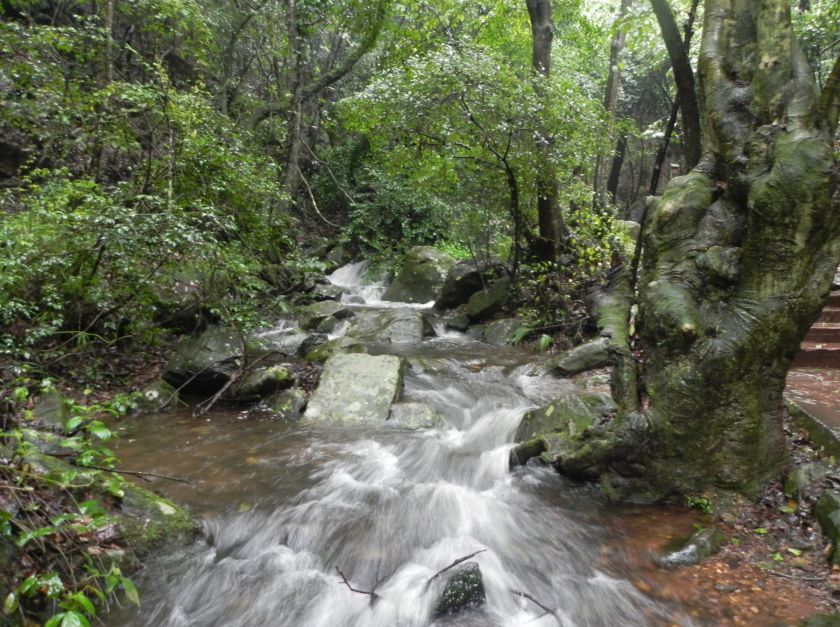 为什么玉溪适合避暑旅游,云南玉溪延河避暑