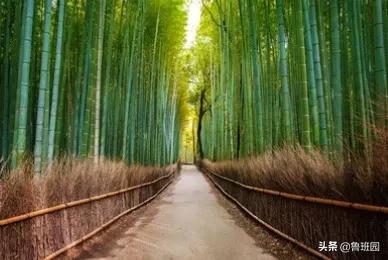 竹炭板是什么材料做的,装修用竹炭板材