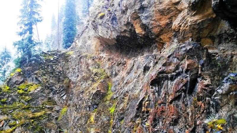 带上UL从狼塔C回家