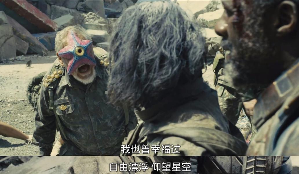 最新顶流阵容,全顶流阵容