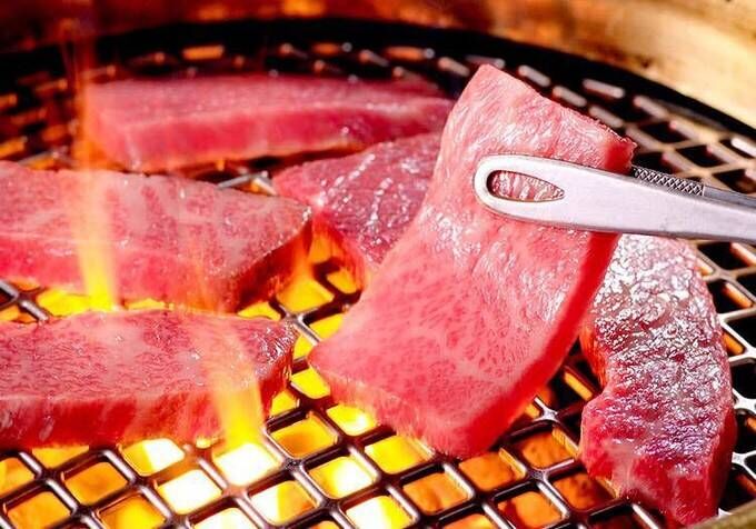 约上闺蜜一起去看看,大阪到奈良小鹿公园