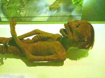 日本神秘生物河童是什么,令人毛骨悚然的神秘生物