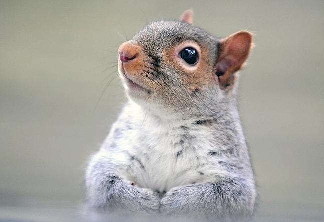 怎样剔除垃圾基金,买到了垃圾资产怎么办