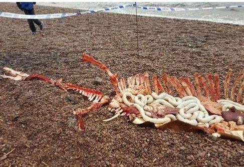 圣女为何无故流泪？神秘女子为何频频放电？闪电也能给人纹身？