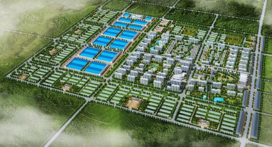 中建铁建最新中标,中国中铁四局新中标