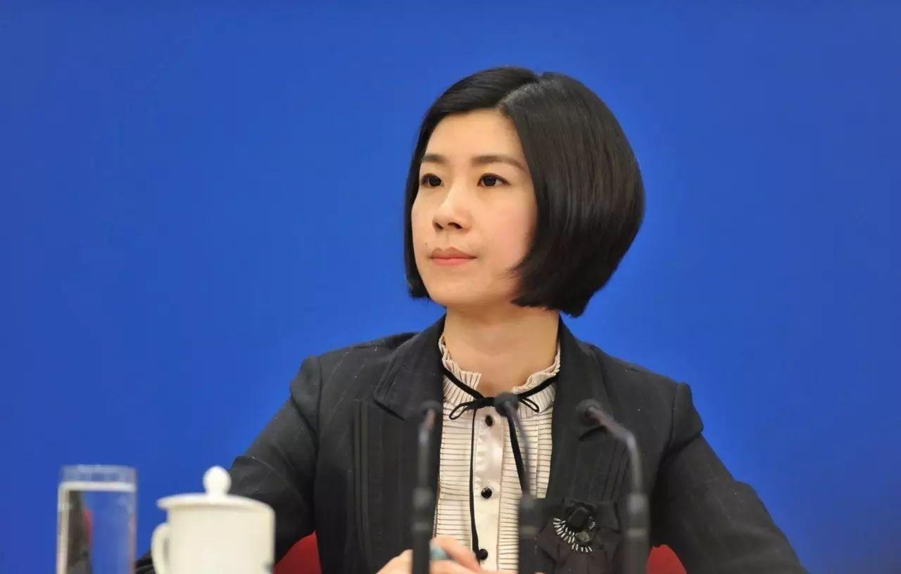 高级翻译张璐进入会场视频,翻译界四大女神