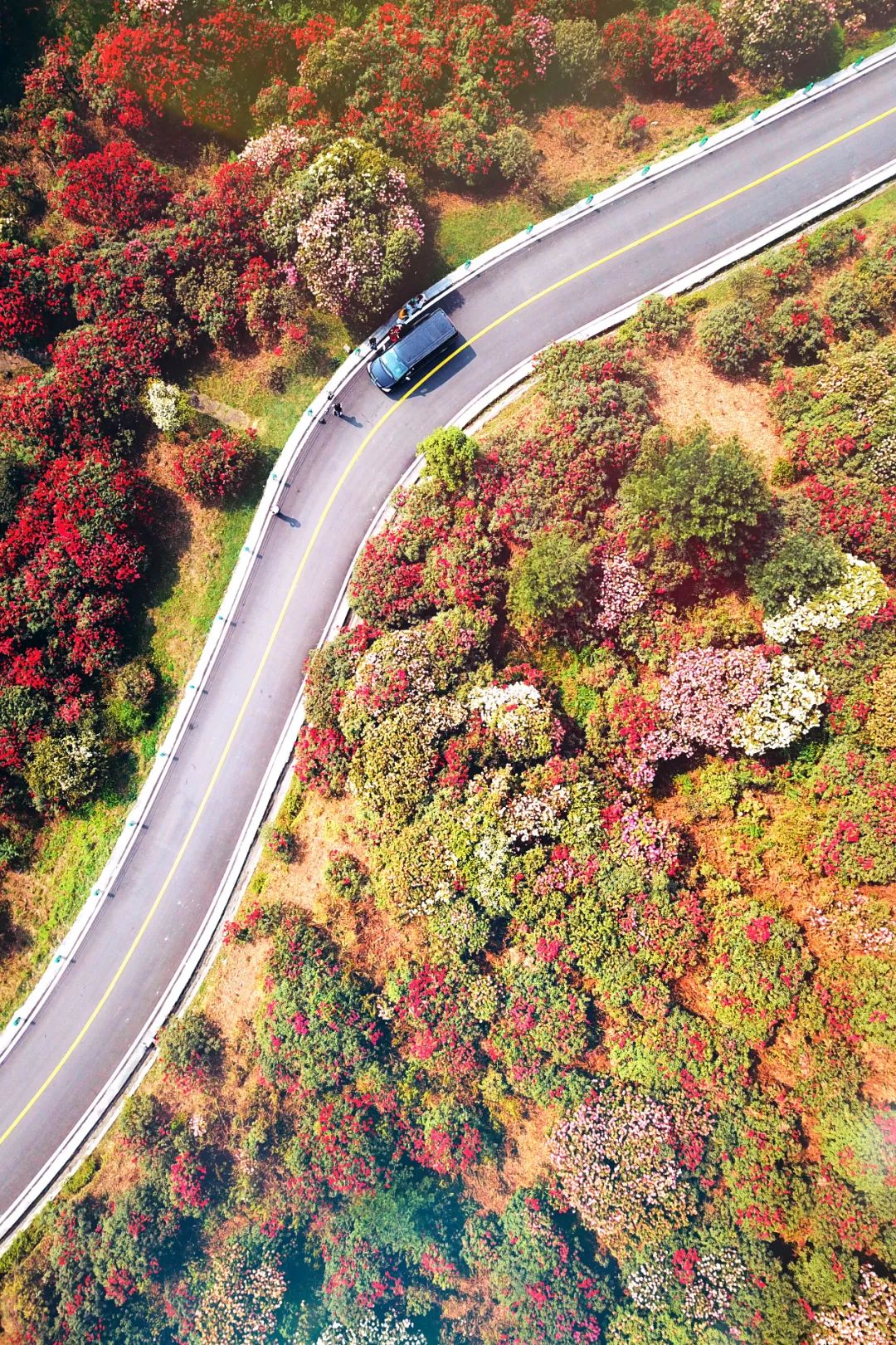 贵州有好多景点,贵州今年比较火的景点
