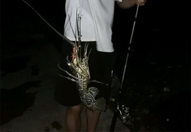 当你钓不到鱼的时候,当你钓不到鱼