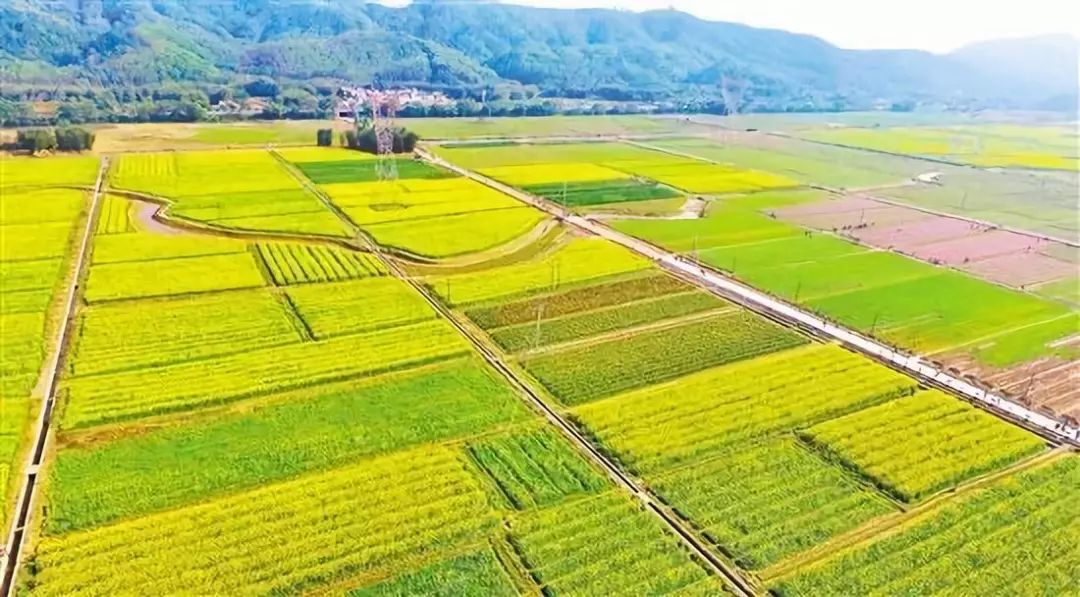 恩平市最新规划图,广东恩平城市发展规划