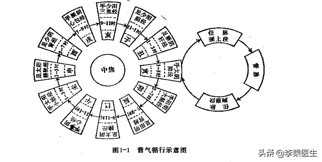 经络学与养生,经络腧穴学说